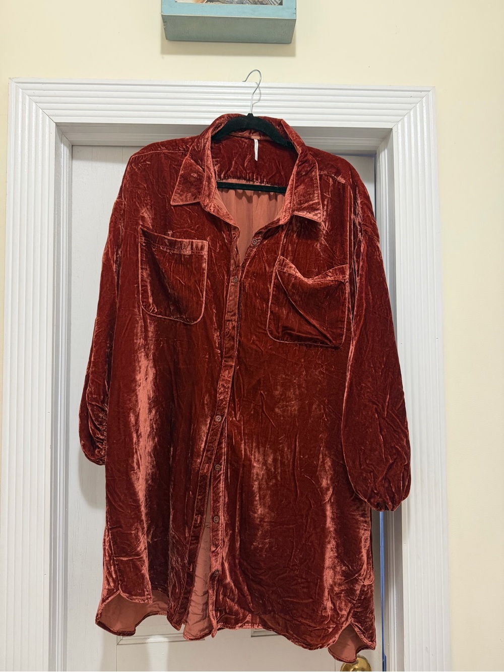 Free People Crushed Velvet Button-Front Long Sleeve Shirt in Rust